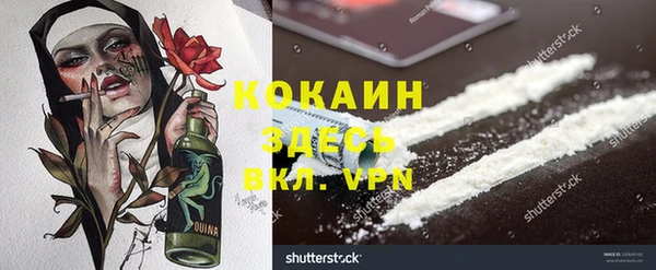 хмурый Абаза