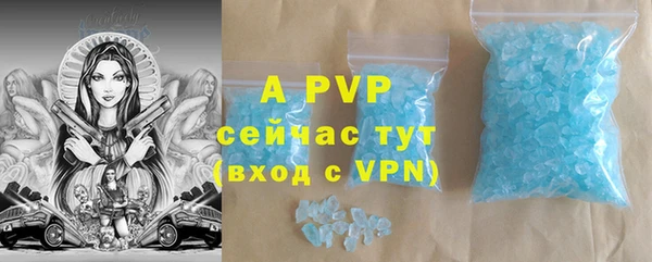 хмурый Абаза