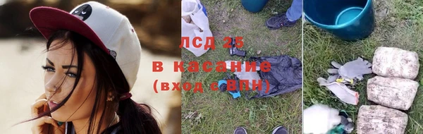 хмурый Абаза