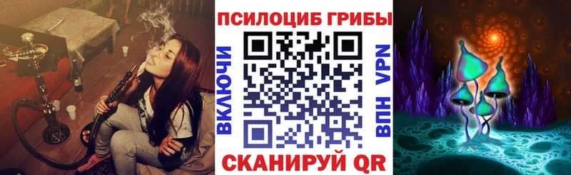 купить наркоту  Кяхта  Псилоцибиновые грибы прущие грибы 